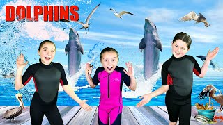 Dolphins for Kids  All About Dolphins  Bottlenose Dolphins [upl. by Keram959]