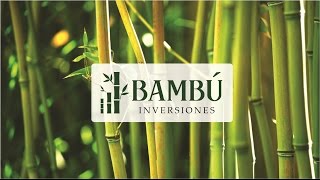 Bambú Inversiones  3 de 6  Capital Requerido por Proyecto  Inversiones en Franquicias en México [upl. by Ecadnarb]