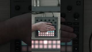 Learn the Circuit Rhythm workflow [upl. by Savory]