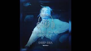 深海  ENERGY MUSIC “DEEP SEA” feat starRo [upl. by Mercola782]