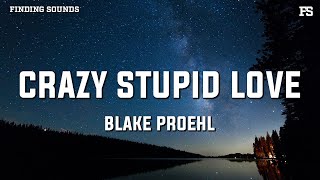 Blake Proehl  Crazy Stupid Love Lyrics [upl. by Nospmoht]