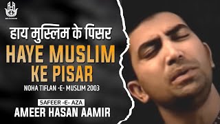 Ameer Hasan Aamir  Haye Muslim Ke Pisar  Noha 2003 [upl. by Limaj684]