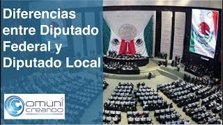 Diferencias entre un Diputado Federal y Diputado Local [upl. by Rumney]