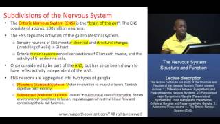 PCAT The Nervous System  Part 2 – The Enteric Nervous System ENS [upl. by Hulen128]