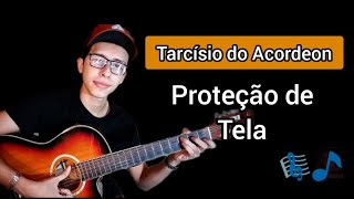 PROTEÇÃO DE TELA  Tarcísio do Acordeon [upl. by Rafael]