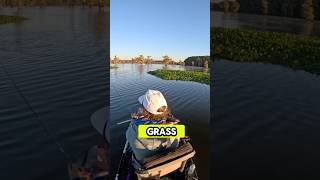 Catching Bass in LIVELY Grass bassfishing fishing kayakbassfishing kayakfishing shorts grass [upl. by Broida]