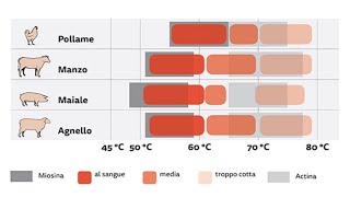 I segreti della cottura SOUS VIDE a bassa temperatura  quot Come Calcolare la TEMPERATURAquot [upl. by Nichani]