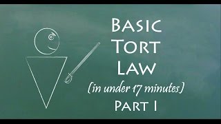 Understand Tort Law in 17 Minutes Part I [upl. by Ara16]