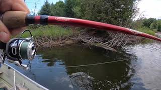 Fishing The AuSable River With The Ned Rig [upl. by Ahsiemal]