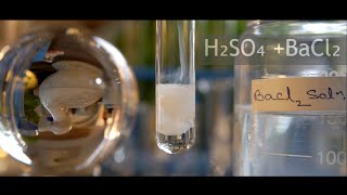 Double displacement of BaCl2  H2SO4  Barium chloride  Sulphuric acid  Precipitation reaction [upl. by Ainevul768]