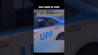 dawg learned a lesson memes viralvideo trending [upl. by Asuncion]