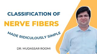 Classification of Nerve Fibers  Erlanger and Gasser Classification  Lloyd and Hunt Classification [upl. by Tirreg]