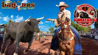 ¡SE JUNTARON LOS MEJORES CHARROS DE MÉXICO JARIPEO DE TOROS BRAVOS EN SAN MARTIN MICHOACAN 2024 [upl. by Isayg298]