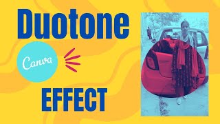 Duotone effect in Canva [upl. by Puna]