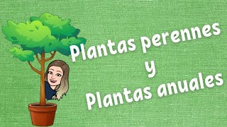 Plantas perennes y plantas anuales [upl. by Gautea738]