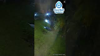 Confused Police Chase After An Unknown Intruder 🚨 Caught On Ring Doorbell Video [upl. by Amerigo]