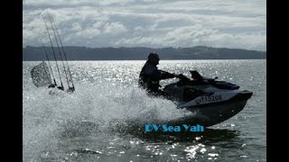 2023 King of the Kaipara Fishing Tournament on a FishPro [upl. by Eidak]