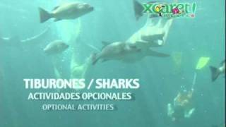 Tiburones [upl. by Jerold]