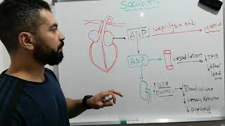 ال sacubitril ودوره في علاج ال heart failure Enteresto [upl. by Pansy158]