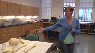 NC State Osteology Lab Tour [upl. by Lot]