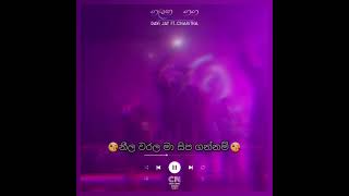 Galana gaga lyric video ගලන ගගlive concert ravijay charitha [upl. by Anerec]