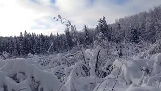 Gatineau Park Canada perfect winter day [upl. by Pellegrini]