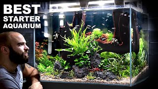 The Budget Aquarium Setup You Cannot Miss [upl. by Lorilee]