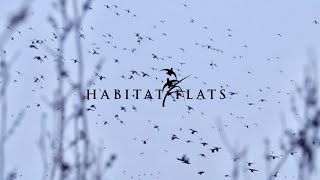 Habitat Flats Greatest Hits 20202021 [upl. by Starks]