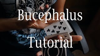 Bucephalus by Dmitry Nizkodubov  Cardistry Tutorial [upl. by Mannos]