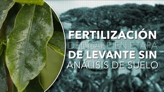 Típs del Profesor Yarumo Fertilización de café en levante sin análisis de suelo [upl. by Neenahs188]