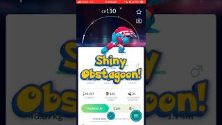 Shiny Obstagoon Evolved in Pokemon Go From Galarian Zigzagoon pokemoncollector shinyhunting [upl. by Atalee]