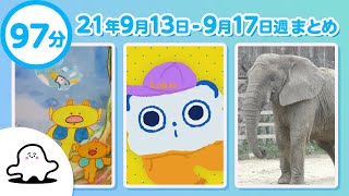 【赤ちゃんが喜ぶ】シナぷしゅ公式210913～0917まとめ│テレビ東京ｘ東大赤ちゃんラボ│赤ちゃんが泣き止む・知育の動画 [upl. by Eiba]