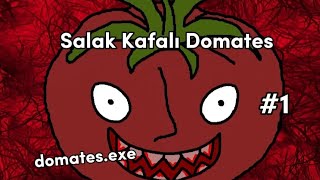 Mr TomatoS oynuyorum  Salak Kafalı Domates 1 [upl. by Rol]