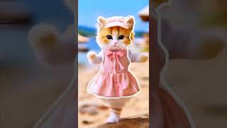 Loveli cat danceshortvideos cat shortsfeed love [upl. by Yeldua303]