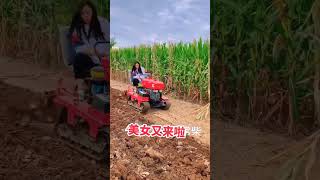 Qufu Xinrun machinery ploughing machine agriculture farming youtubeshorts [upl. by Erasaec]