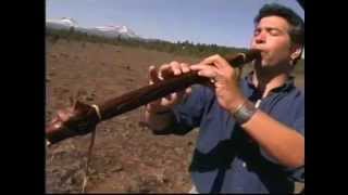 Play the Trees An Introduction to the Native American Style Flute by Ward Jene Stroud [upl. by Damha248]