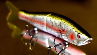 Which Big Swimbait Should You Try First [upl. by Attiuqehs85]