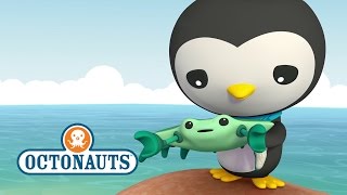 Octonauts Crabs amp Enemy Anemones Trouble [upl. by Krishnah963]