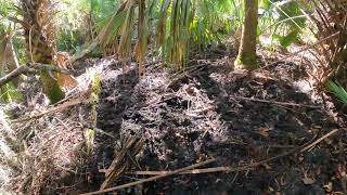 Boardman and Old Dixie Ormond Beach Florida Woods Hike Bottle Hunt explorer history [upl. by Uni]