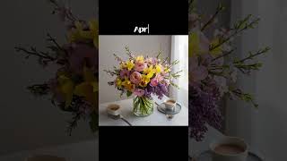 ai Brainstorms Months as bouquet bouquets [upl. by Chesney]