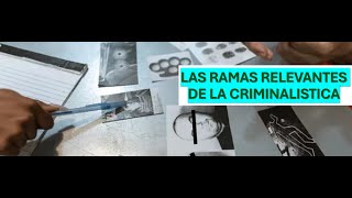 LAS RAMAS RELEVANTES DE LA CRIMINALISTICA  CRIMINALISTICA EN YOUTUBE  AYC [upl. by Ringe]