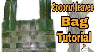 How to weave a bag from coconut leaf  Nature Craft ideas  Coconut Leaf Bag  SS Craft Mantra [upl. by Odlanyar]