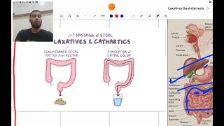 GIT Pharmacology ll Laxatives amp Antidiarrheals [upl. by Hadria]