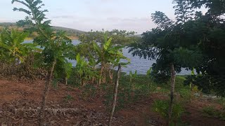 ESSE É O TERRENO QUE ESTÁ A VENDA NA BEIRA DA BARRAGEM VEJAM O PREÇO E O TAMANHO [upl. by Lebasy]