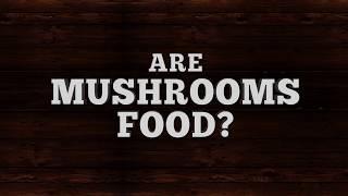 Are Mushrooms Food  119 Ministries [upl. by Aryas]