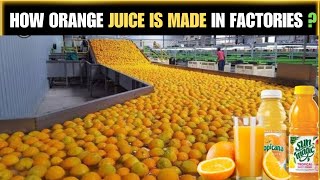 How orange juice is made in factory Fresh Orange Juice Factory Process Orange Juice Making Machine [upl. by Birdella]