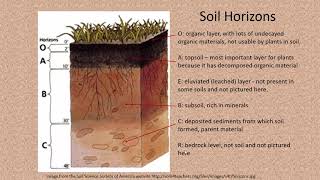 Significant Soils Soil Profile amp Horizons [upl. by Steele]