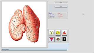 Bioplasm V6 demo video [upl. by Collyer553]