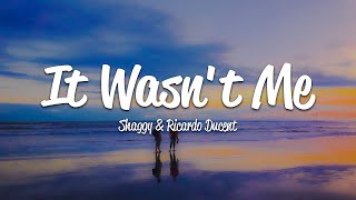 Shaggy  It Wasnt Me Lyrics ft Ricardo RikRok Ducent [upl. by Anderer]