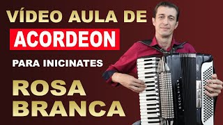 ROSA BRANCA  Vídeo Aula de Acordeon para INICIANTES Como Tocar [upl. by Nuawtna]